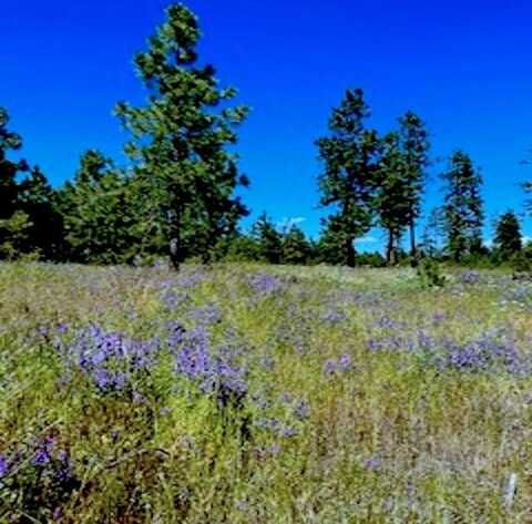 Lot A Kronos Short Plat Ln, Davenport, WA 99122