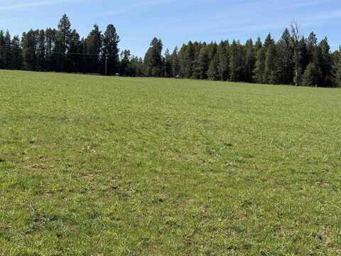 29210 N Spotted Rd, Deer Park, WA 99006