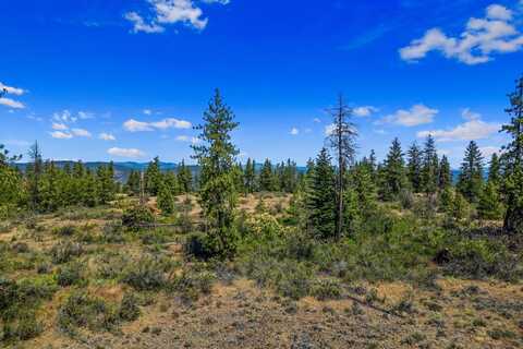 51200 E Whispering Pines Dr, Reardan, WA 99029
