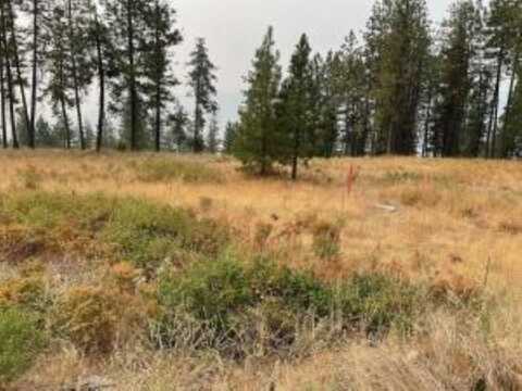 1606 PALMER Loop, Chewelah, WA 99109