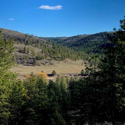 Lot 2 Scenic Short Plat Dr, Davenport, WA 99122