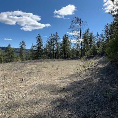 Lot 2 Scenic Short Plat Dr, Davenport, WA 99122