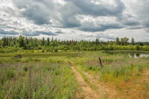 4110 Cemetery, Tract A Rd, Springdale, WA 99137