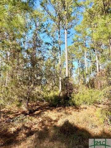 0 Marsh Way, Townsend, GA 31331