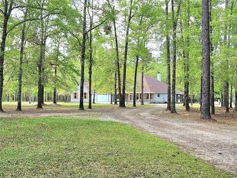 100 Hallelujah Trail, Ellabell, GA 31308