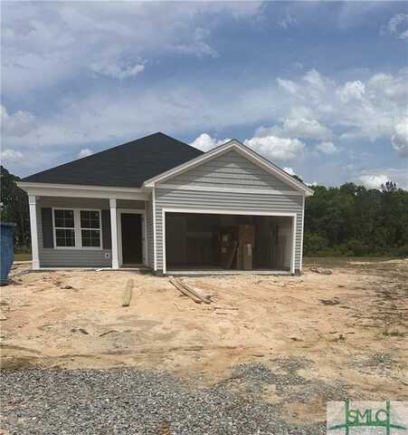 251 Palmetto Way NE, Ludowici, GA 31316