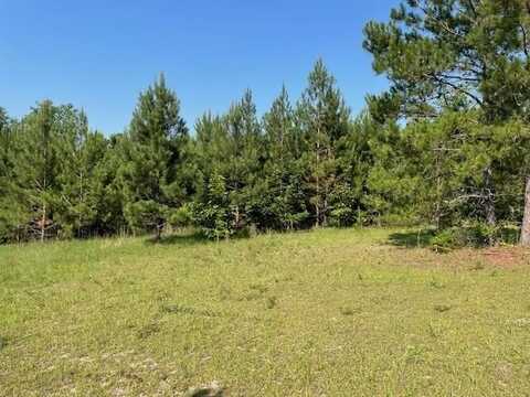 0 Old River Road, Elloree, SC 29047