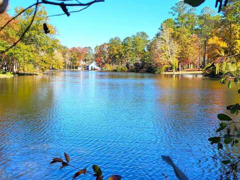 490 Chapel Creek Drive, Santee, SC 29142