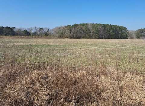 01 15 & Rexford Court, Santee, SC 29142