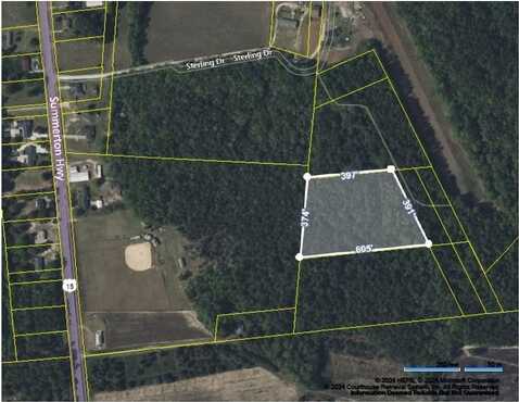 Tbd Highway 15 S, Manning, SC 29102