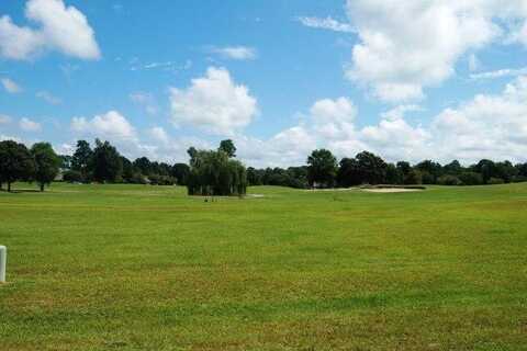 Tbd North Lake Circle, Manning, SC 29102