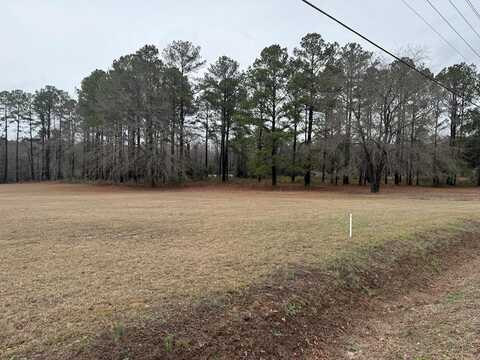 2471 Wedgefield Road, Sumter, SC 29154