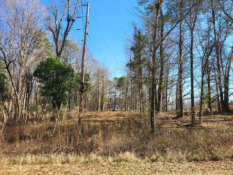 Lot 1 Santee Lumber Road, Santee, SC 29142