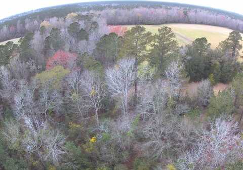 Tomahawk Street, Hemingway, SC 29554