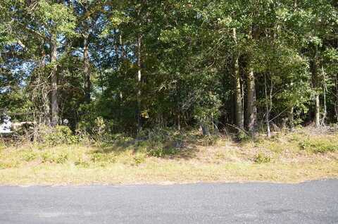 00 Mallett Road, Manning, SC 29102
