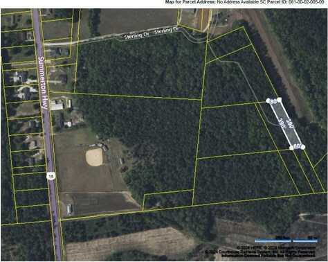 Tbd Highway 15 S, Manning, SC 29102