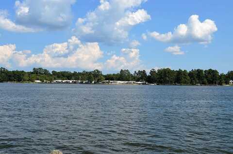 1193 Newman Circle, Summerton, SC 29148