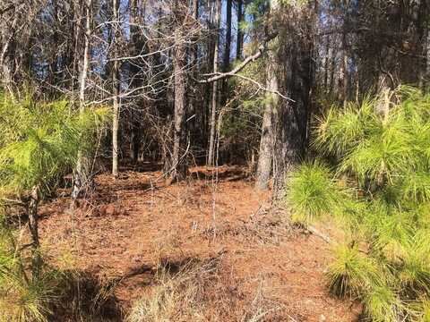 0 Sandbed Road, Pamplico, SC 29583