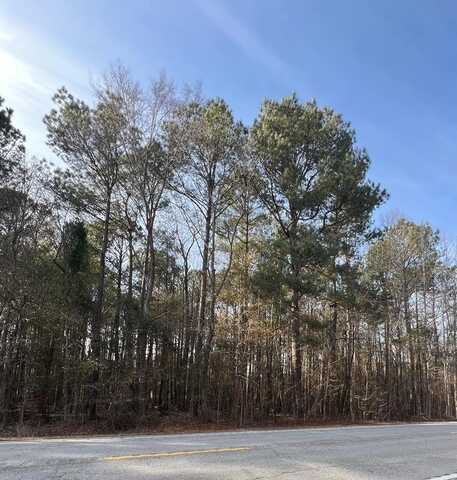 TBD Hwy 260, Manning, SC 29102