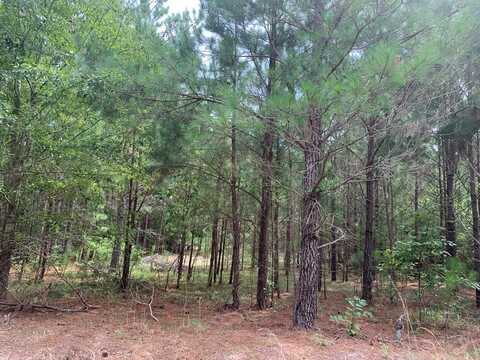 0000 Rabbit Den Road, Rembert, SC 29128