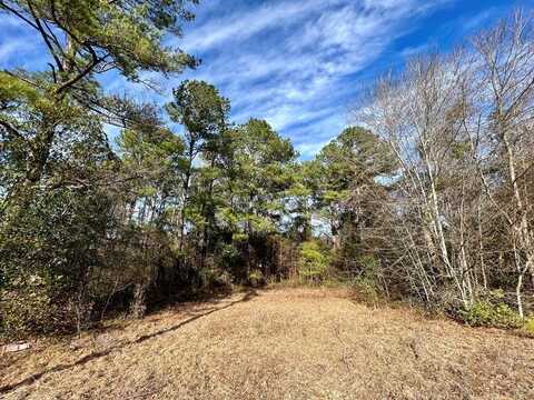 545 Loring Mill Road, Sumter, SC 29150
