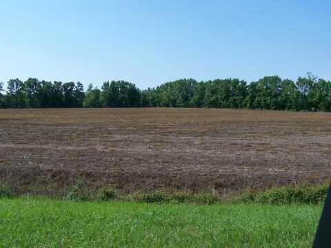 00 Highway 15 And 301, Santee, SC 29142
