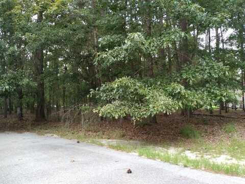 Lake Breeze lot: 4, Elloree, SC 29047