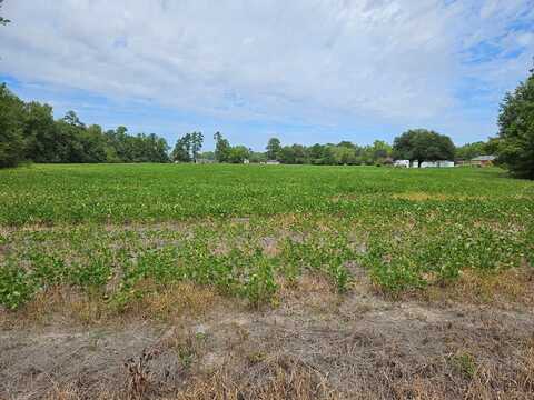 Tbd Alice Myers Lane, Olanta, SC 29114