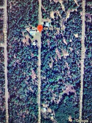 00 SW Big Tree Rd SW, Dunnellon, FL 34431