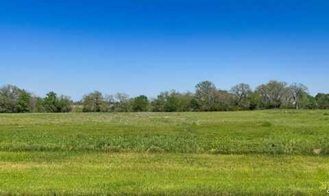 10094 Panther Creek Drive, Iola, TX 77861
