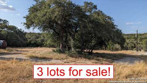 1920 CAMPFIRE, Spring Branch, TX 78070