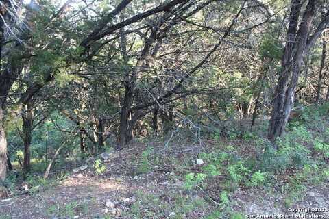 879 DEERWOOD DR, Canyon Lake, TX 78133