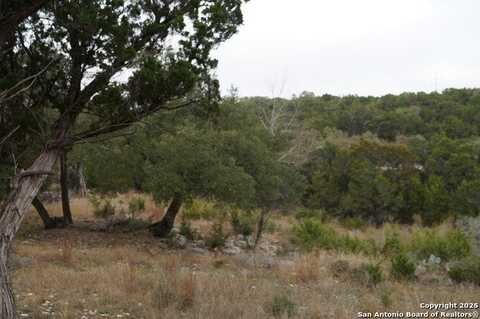 1240 Rose Ln, Canyon Lake, TX 78133