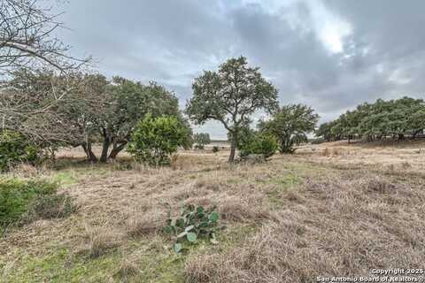 161 Mystic Shores, Spring Branch, TX 78070