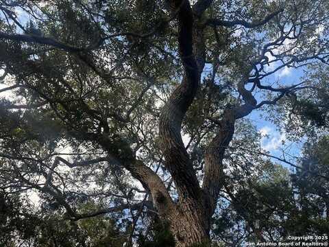247 Longwood, New Braunfels, TX 78132