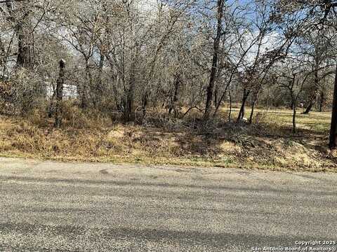 Tbd WILD ROOT, San Antonio, TX 78264