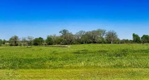 10068 Panther Creek Drive, Iola, TX 77861