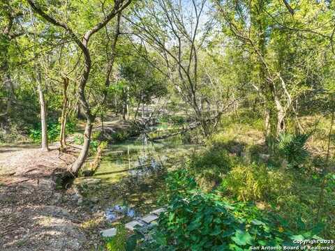 343 OAK SPRINGS DR, Seguin, TX 78155