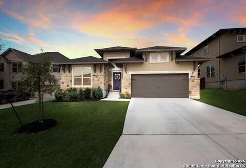 229 James Fannin St, San Antonio, TX 78253