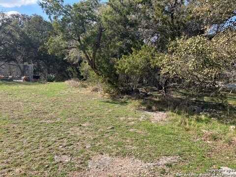 253 TWIN LAKE TRL, Spring Branch, TX 78070