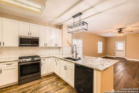 1930 Spotted Owl, New Braunfels, TX 78130