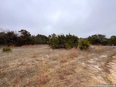 Atlantis Ave, Blanco, TX 78070