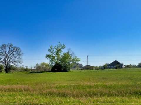 10071 Hidden Pond Drive, Iola, TX 77861