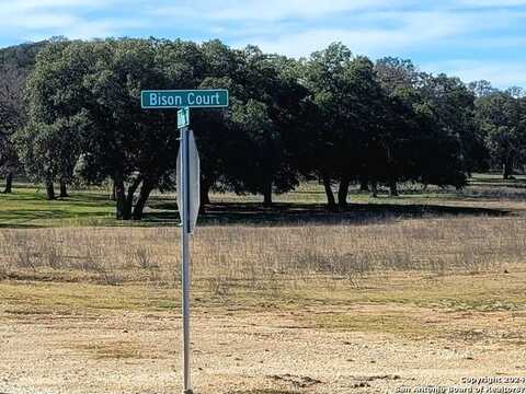 Tbd SW Bison Court, Pipe Creek, TX 78063