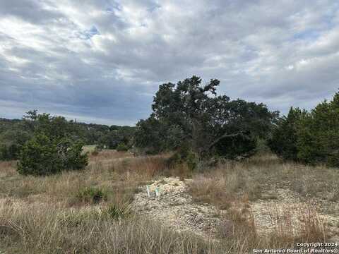 106 Thomas Frost, Blanco, TX 78606