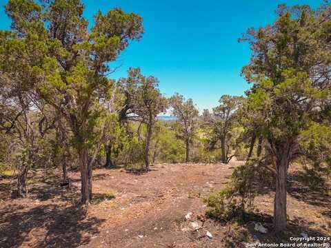 426 Coneflower Dr, Spring Branch, TX 78070