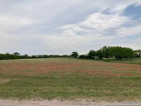 1 COUNTY RD # 163, Elmendorf, TX 78112