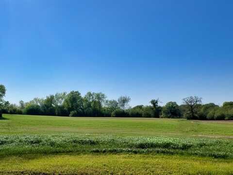 Lot 38 Panther Ridge Drive, Iola, TX 77861