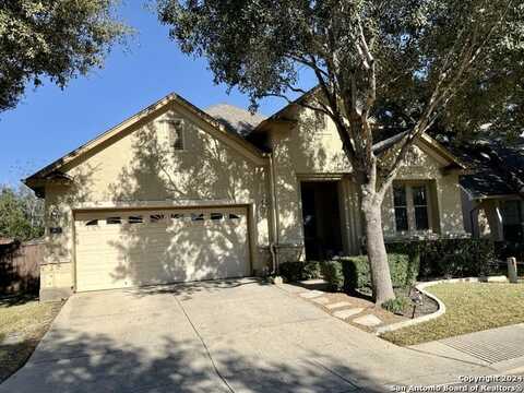 3635 TEA ROSE GLN, San Antonio, TX 78259