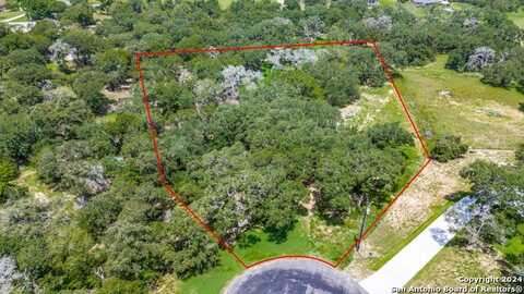161 Chisum Trl, La Vernia, TX 78121